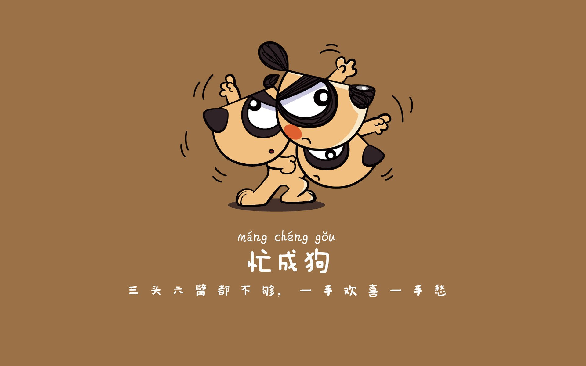 开云官网APP下载-篮球教练员继续教育平台功能完善，篮球教练员培训班理论考试