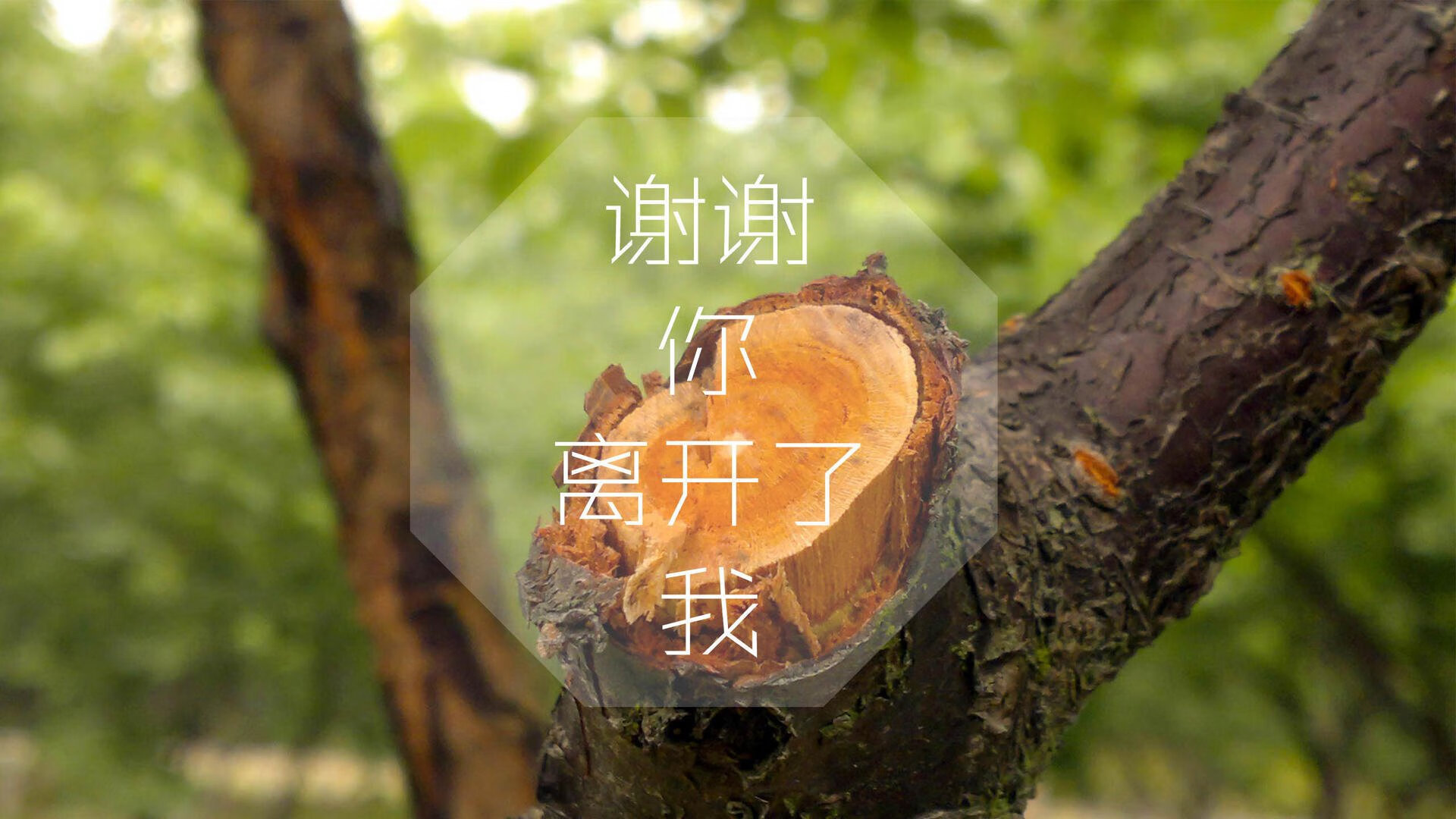 开云-Gen.G新人晋升主力阵容