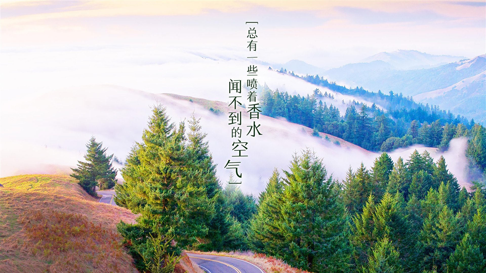 kaiyun体育综合-“新都福乐球：精彩对决一波接一波”