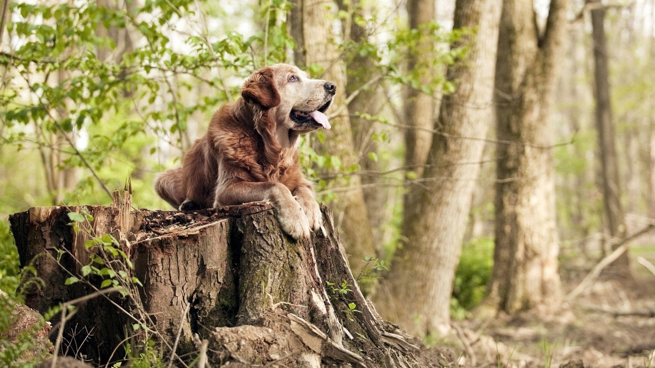 kaiyun官方入口登录-体育新闻中心推动体育赛事数据安全加密技术应用,体育赛事保障