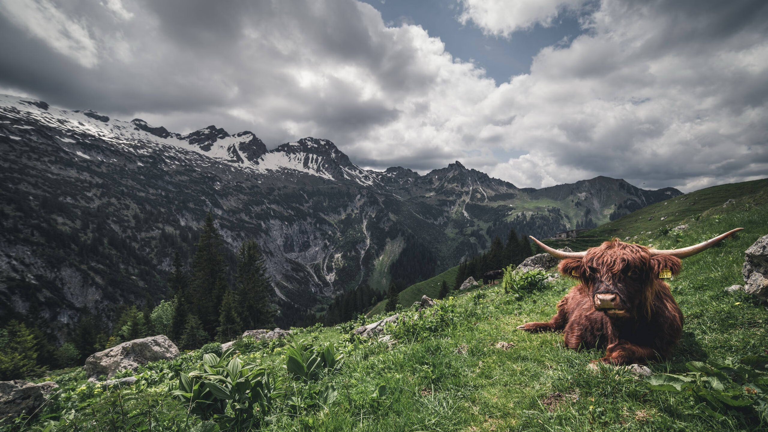 开云-奥预赛中国足球迎战 球迷热议不减，2020足球奥预赛