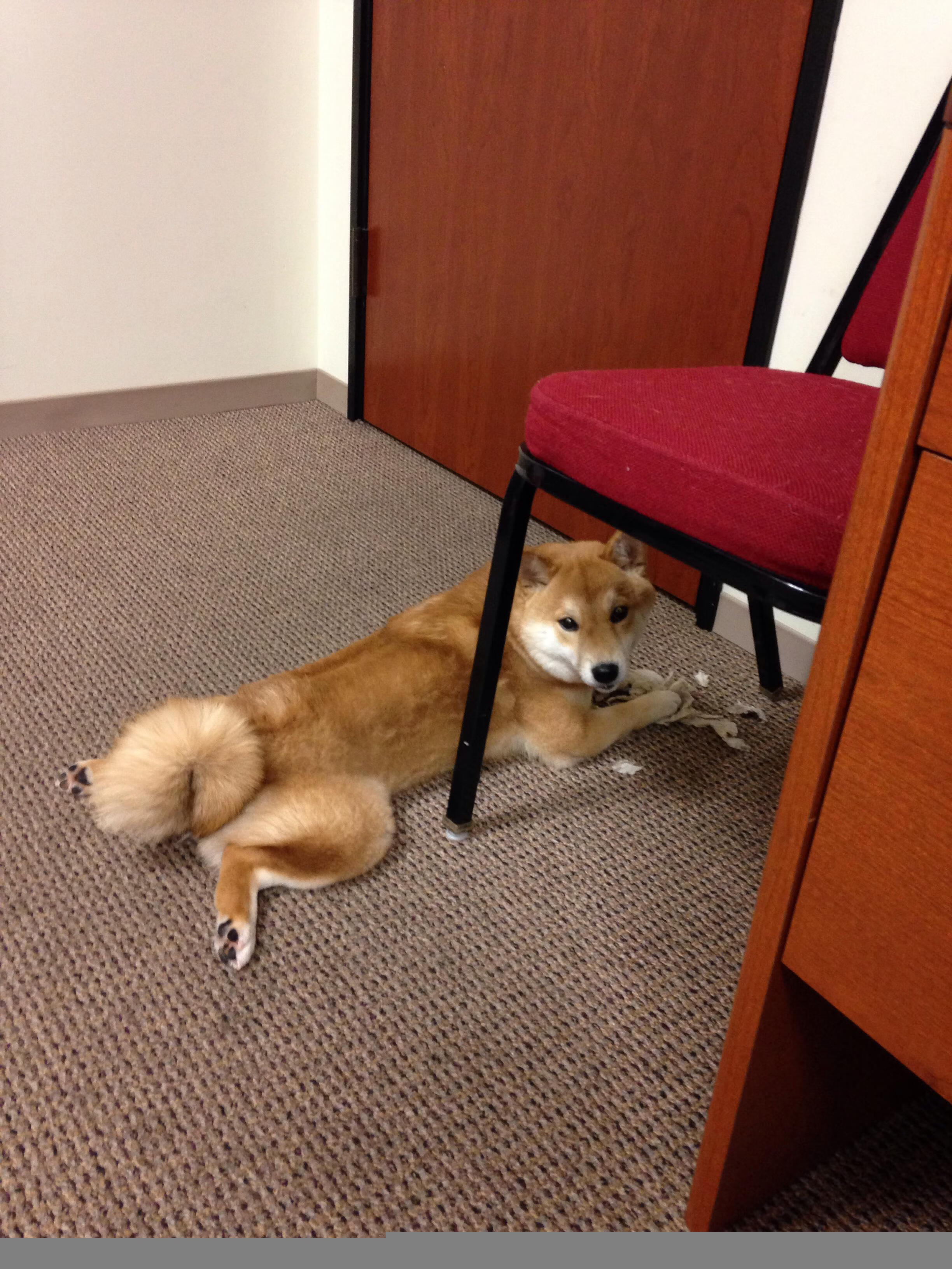 开云·Kaiyun网页版-校园篮球联赛结构是否具备可持续发展逻辑,校园篮球班级联赛