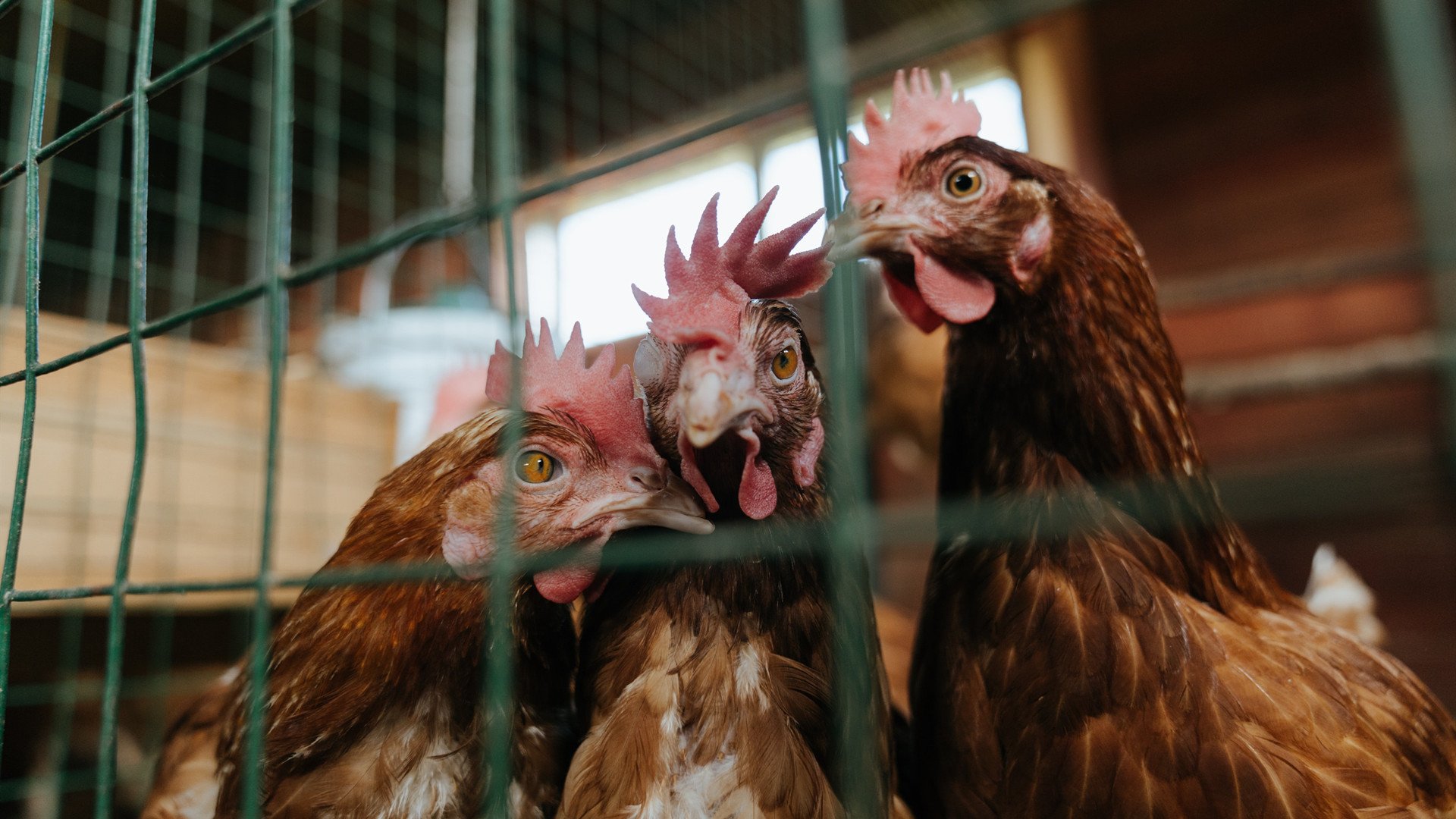 开云·Kaiyun网页版-丁俊晖接受媒体访问表达新赛季目标，丁俊晖接受媒体访问表达新赛季目标了吗