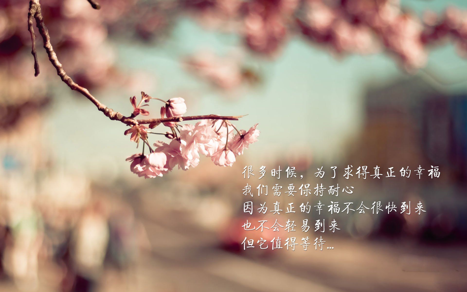 开云入口-世界杯激情不断：每场都精彩绝伦！，世界杯激动人心时刻