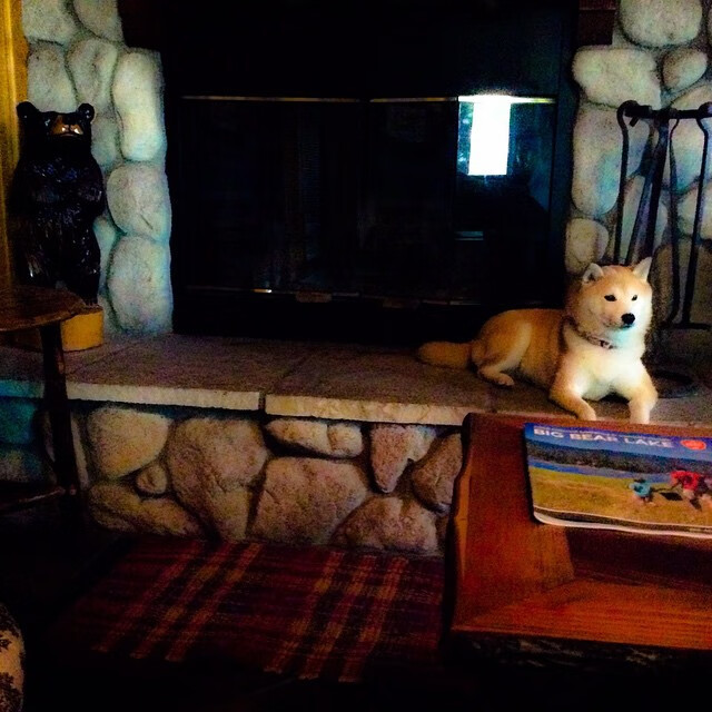 开云kaiyun-世界杯精彩瞬间：每个鏖战都令人热血沸腾！，世界杯场面