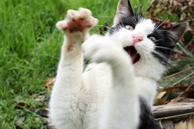 开云体育在线赛事直播-哈登持球时间减少更多依赖挡拆体系，哈登全能表现盘活全队 三分手感成伤退前遗