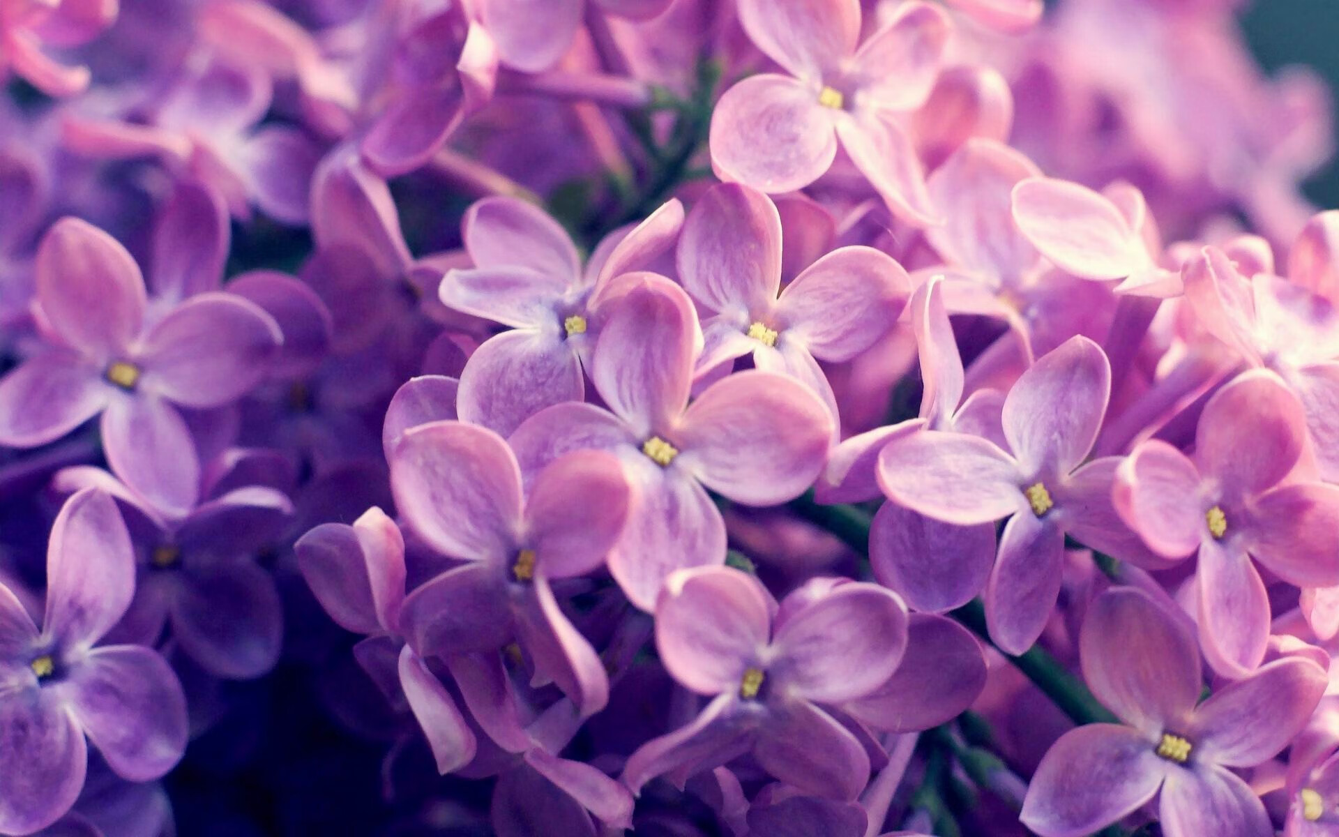 开云·体育官方网站入口-张雨霏突破自我刷新纪录，张雨霏专访