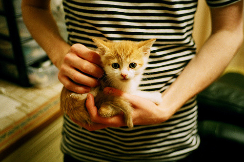 kaiyun开云·官方网站-朱婷刷新纪录奥运会，朱婷奥运冠军