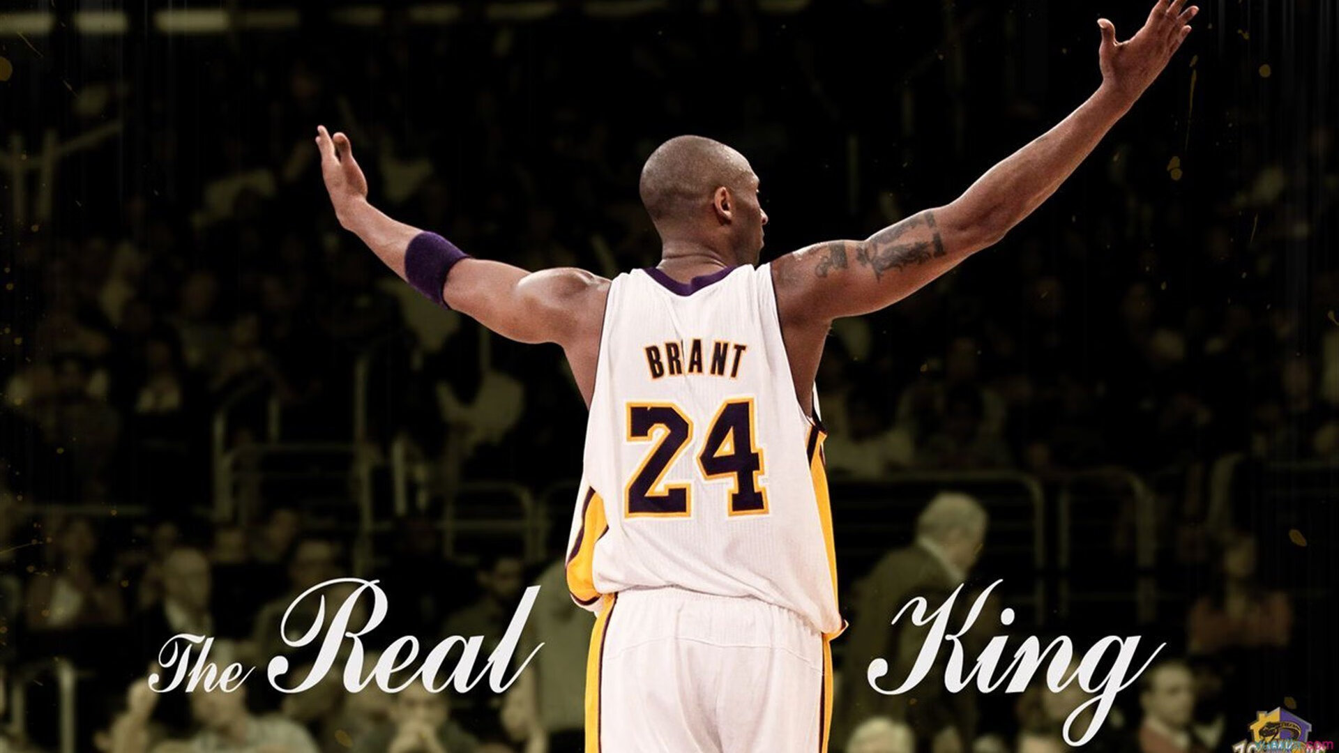 开云-篮球赛事多平台同步直播技术应用,篮球赛直播哪个软件好